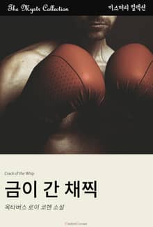 금이 간 채찍