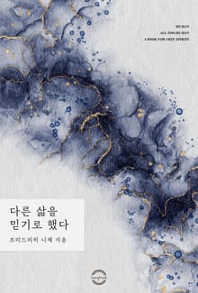 다른 삶을 믿기로 했다 - 니체의 질문들