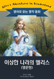 이상한 나라의 앨리스 / Alice's Adventures in Wonderland (영문판)