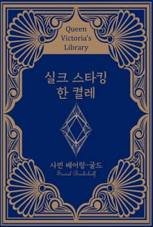 실크 스타킹 한 켤레