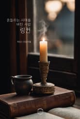 흔들리는 시대를 버틴 사람, 링컨 표지 이미지