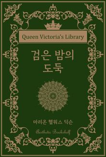 검은 밤의 도둑