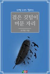 검은 깃털이 머문 자리 표지 이미지