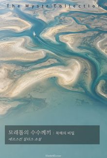 모래톱의 수수께끼 : 북해의 비밀