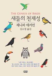새들의 천재성