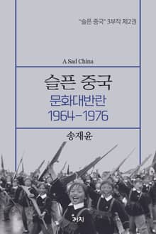 슬픈 중국