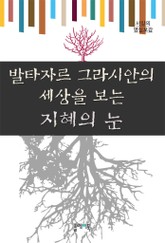 발타자르그라시안의 세상을 보는 지혜의 눈 표지 이미지