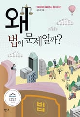 왜 법이 문제일까? 표지 이미지