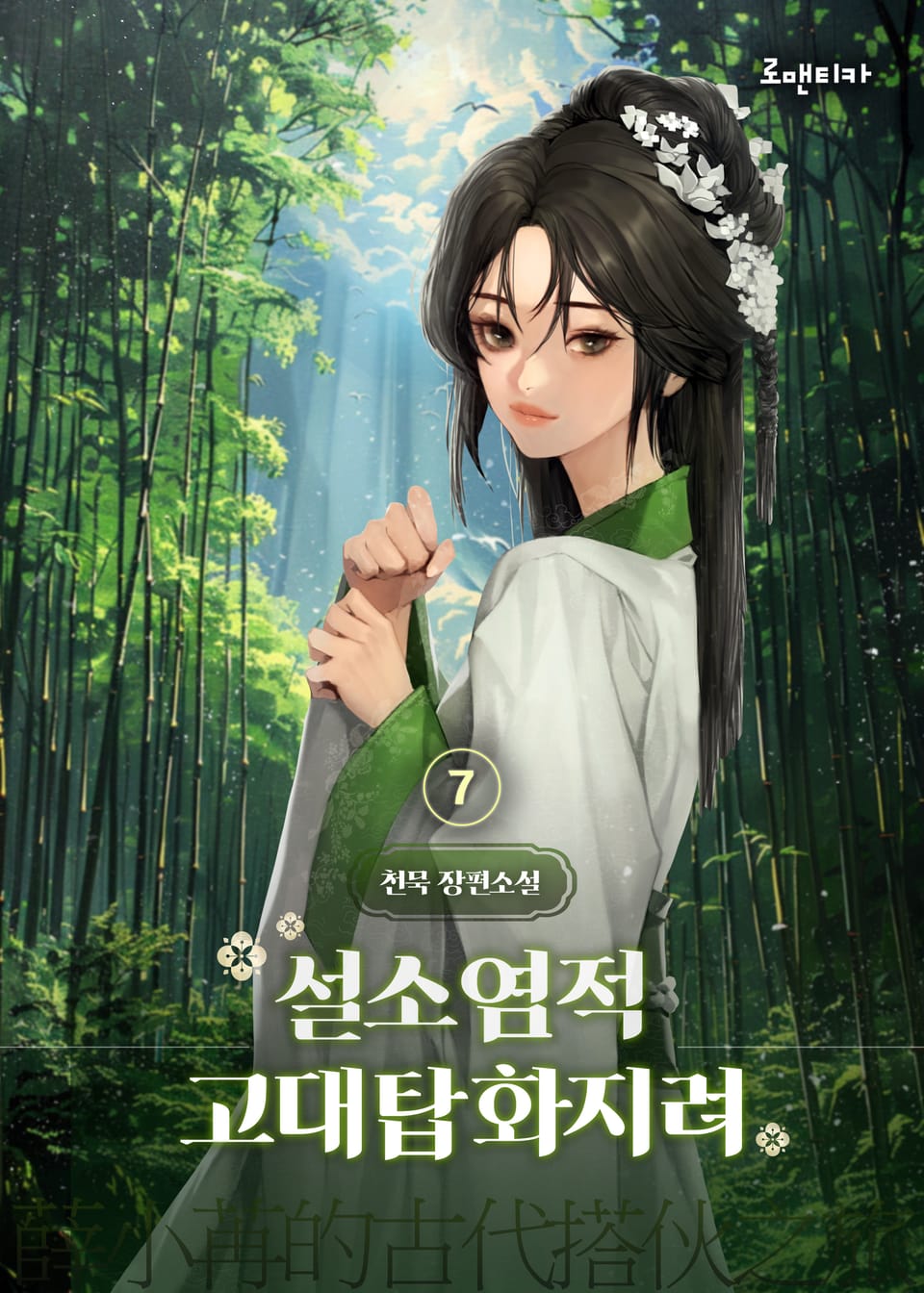 설소염적고대탑화지려 7권