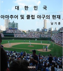 대한민국 아마추어 및 클럽 야구의 현재