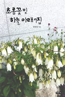 초롱꽃 빛 하늘아래 7