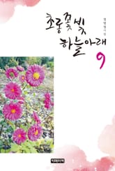 초롱꽃 빛 하늘 아래 9 표지 이미지