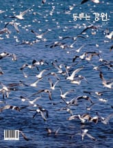 동트는 강원 85호 표지 이미지