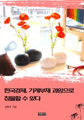 한국경제, 가계부채 과잉으로 침몰할 수 있다 표지 이미지