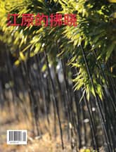 江原的拂曉 20號 표지 이미지