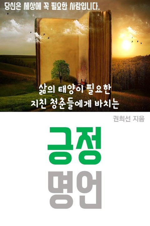 삶의 태양이 필요한 지친 청춘들에게 바치는 긍정 명언 표지 이미지