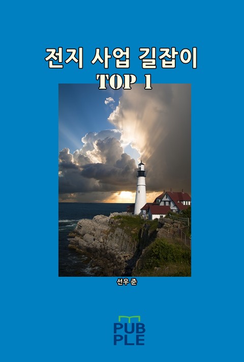 전지 사업 길잡이 TOP 1 표지 이미지