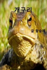 개구리 표지 이미지