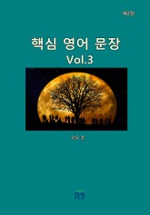 핵심 영어 문장(제2판)[Vol.3] 표지 이미지
