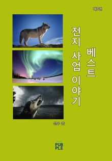 전지 사업 이야기 BEST (제3권)