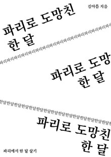 파리로 도망친 한 달