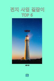 전지 사업 길잡이 TOP 6