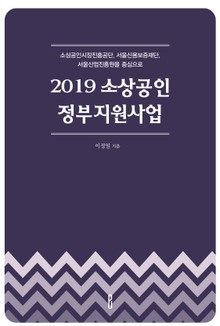 2019 소상공인 정부지원사업
