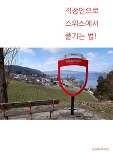 직장인으로 스위스에서 즐기는 법