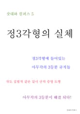 제5권 정삼각형의 실체 표지 이미지