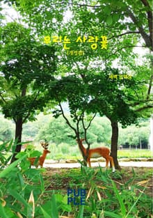 개정판｜우리는 사랑꽃