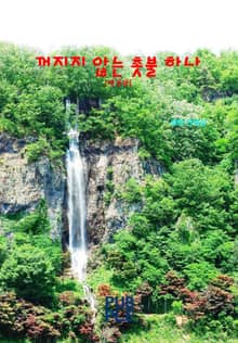 개정판｜꺼지지 않는 촛불 하나