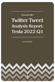 Twitter Tweet Analysis Report; Tesla 2022 Q1