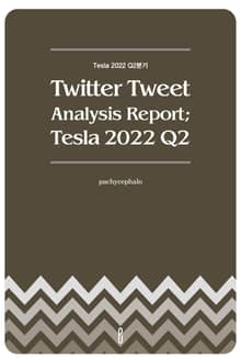 Twitter Tweet Analysis Report; Tesla 2022 Q2