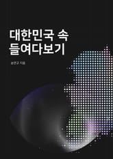 대한민국 속 들여다 보기 표지 이미지