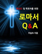 평신도 및 목회자를 위한 로마서 Q&A 표지 이미지