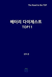 배터리 다이제스트 TOP11