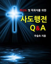 평신도 및 목회자를 위한 사도행전 Q&A 표지 이미지