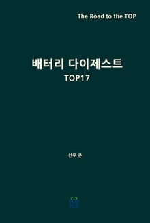배터리 다이제스트 TOP17