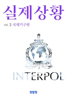 실제상황 3: 국제기구편