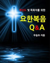 평신도 및 목회자를 위한 요한복음 Q&A 표지 이미지
