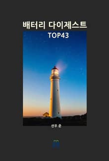 배터리 다이제스트 TOP43
