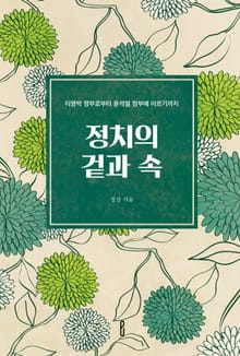정치의 겉과 속