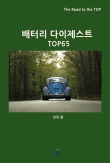 배터리 다이제스트 TOP65
