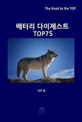 배터리 다이제스트 TOP75 표지 이미지