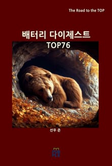 배터리 다이제스트 TOP76