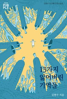 13가지 잃어버린 기억들