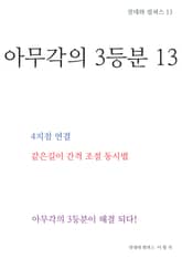 제13권 아무각의 3등분 표지 이미지
