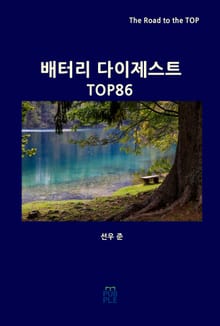 배터리 다이제스트 TOP86