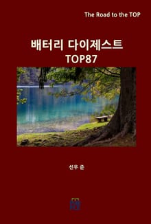 배터리 다이제스트 TOP87