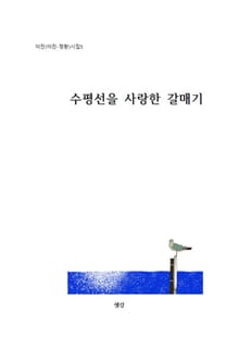 수평선을 사랑한 갈매기